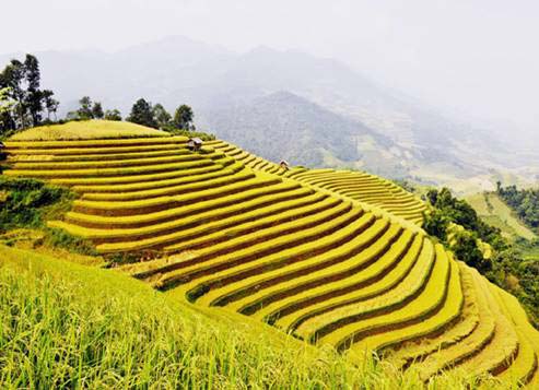 10 điều nên thử khi đi du lịch Sa Pa
