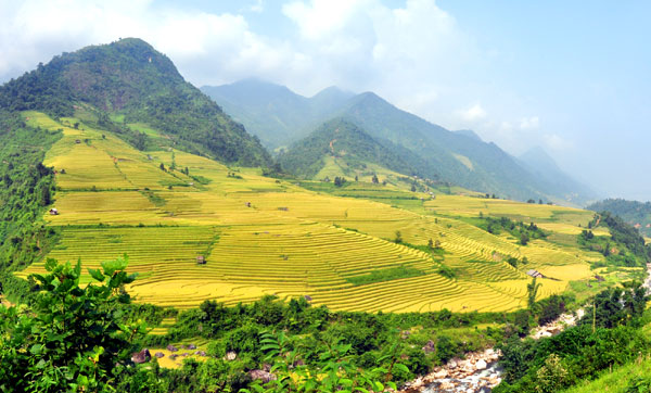 Lên Sa Pa thưởng ngoạn