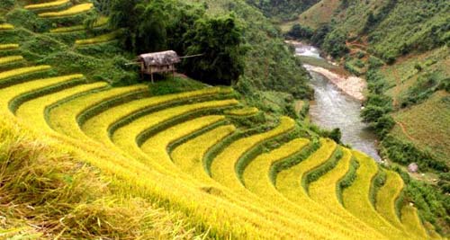 Tour ruộng bậc thang: Mới chỉ là 