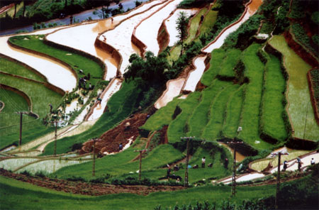 Thúc đẩy quảng bá du lịch Yên Bái