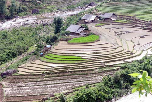 Bản Hồ - điểm du lịch cộng đồng hấp dẫn.
