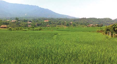 Món quà của thiên nhiên