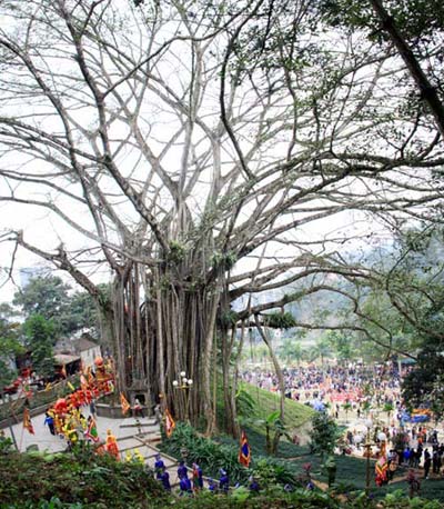 Điểm đến du lịch Lào Cai