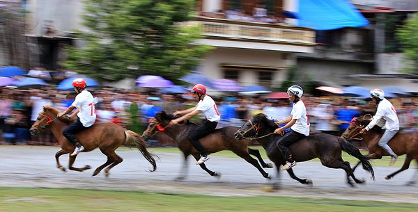 Bắc Hà dự kiến đón khoảng 40.000 lượt khách dịp Giải đua ngựa truyền thống