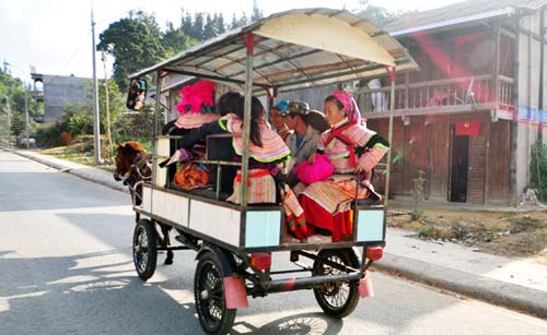 Bắc Hà: Mở tua du lịch đi thăm bản, làng bằng xe ngựa