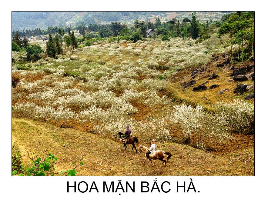 Về với Bắc Hà yêu thương