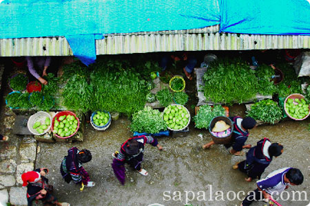 Cẩm nang du lịch đi chợ Sapa