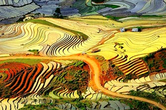  Ruộng bậc thang Sa Pa là 1 trong 5 địa danh du lịch đẹp nhất của Việt Nam