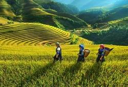 Tạo bước đột phá phát triển du lịch vùng Tây Bắc