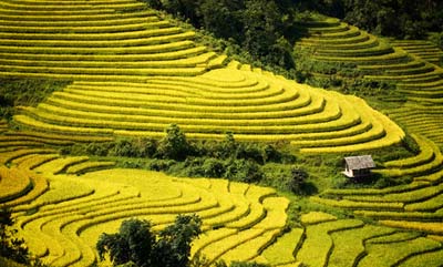 Khảo sát tour du lịch 