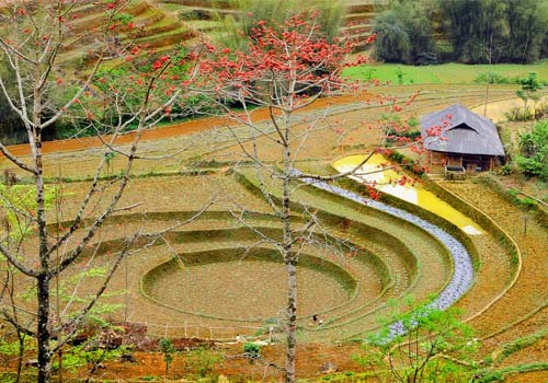 Lãng du Bắc Hà - Si Ma Cai