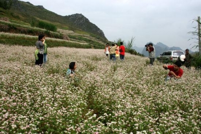 Thời lên mạng tìm tour