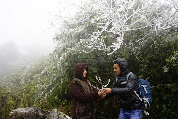 Băng giá xuất hiện tại Sa Pa