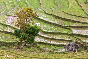 Nậm Sài - 