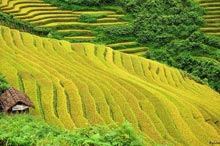 Những chỉ dẫn quý giá cho chuyến du lịch Sapa