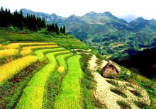 Kinh nghiệm và hành trang du lịch Sapa