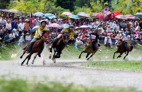 Sẽ có 80 nài ngựa tham gia Giải đua ngựa truyền thống huyện Bắc Hà năm 2017