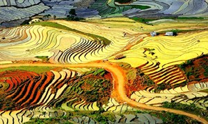 Lào Cai lọt top 10 điểm đến đẹp nhất thế giới