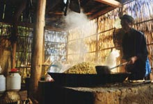 Men say của người Pa Dí ở Mường Khương