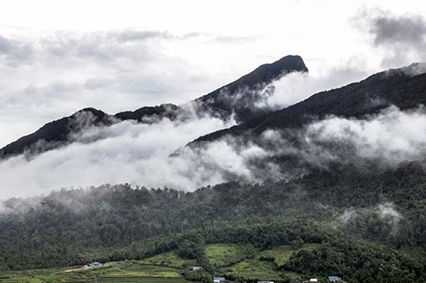 Một thoáng Y Tý