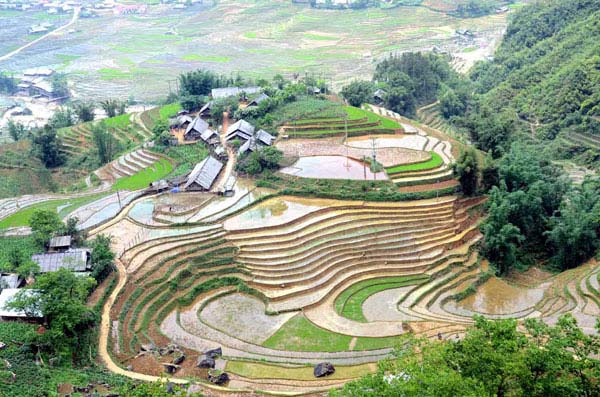 Ruộng bậc thang chuẩn bị vào vụ cấy