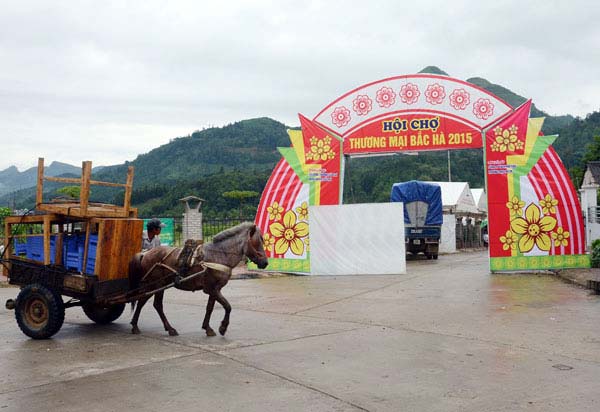 Bắc Hà : Giải đua ngựa năm 2015 đã sẵn sàng