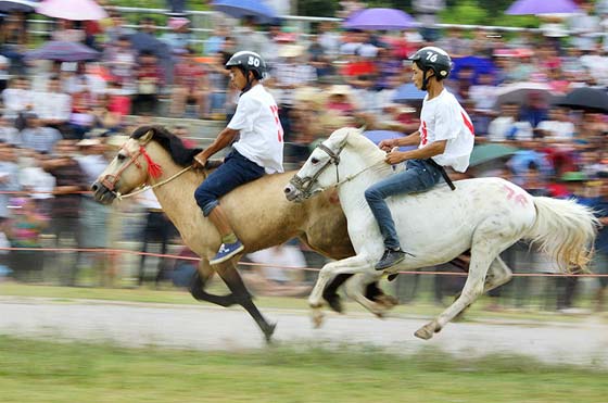 Vòng loại Giải đua ngựa Bắc Hà mở rộng năm 2015 hấp dẫn và kịch tính