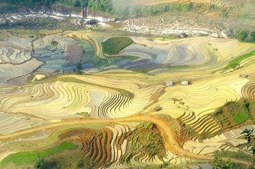 Ngỡ ngàng trước vẻ đẹp ruộng bậc thang ở Bát Xát