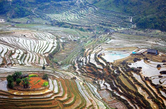 Ruộng bậc thang Sàng Ma Sáo mùa nước đổ