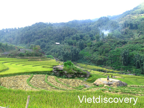 Tiếng gọi mùa vàng du lịch Sa pa