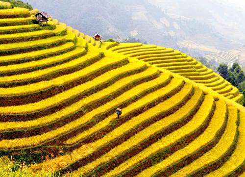 Du lịch mùa thu trong nước, điểm đến nào đang Hot