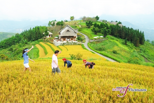 Công tác chuẩn bị của SVHTTDL lào cai 20/10/2013