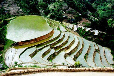 Ruộng bậc thang Hoàng Su Phì đón nhận Bằng Di tích quốc gia