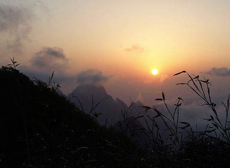 Thiên nhiên kỳ thú ở Fansipan