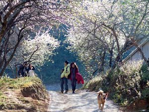 5 điểm đến ngọt ngào cho ngày lễ tình nhân