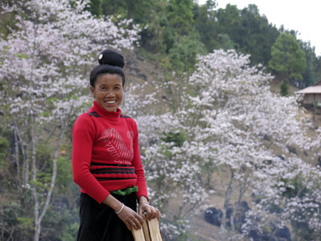 Chị Lò Thị Loan - xã Phùng Lái, huyện Thuận Châu, Sơn La vui vẻ khi được chụp ảnh bên rừng hoa ban.