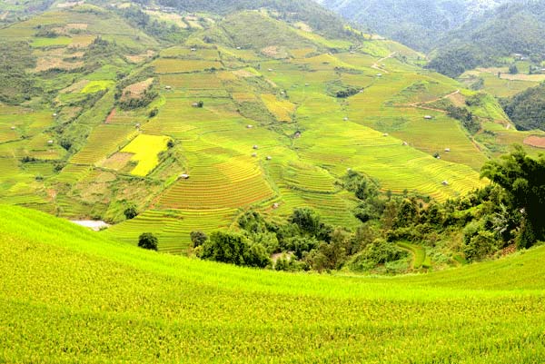 Vùng ruộng bậc thang hùng vĩ ở  huyện Mù Cang Chải.