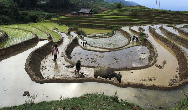 Đường nét vùng cao.