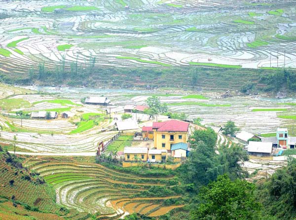 Ruộng bậc thang Sa Pa.