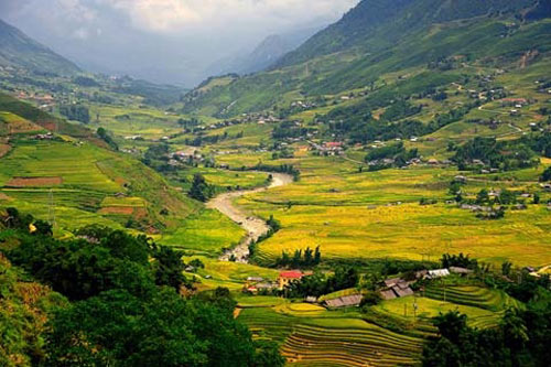 Sa Pa bước vào mùa lúa chín.