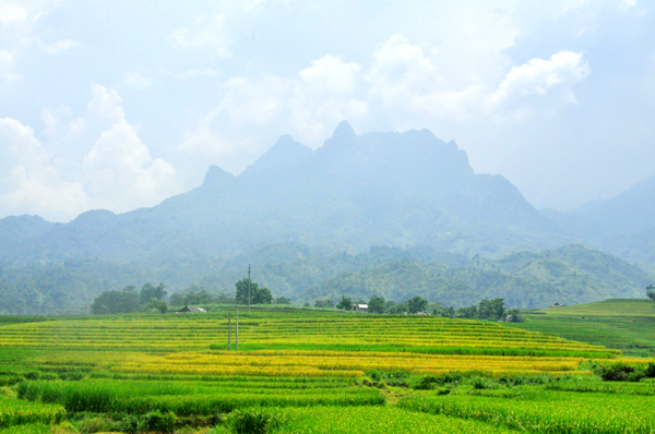 Ruộng bậc thang dưới chân núi Ky Quan San hùng vĩ