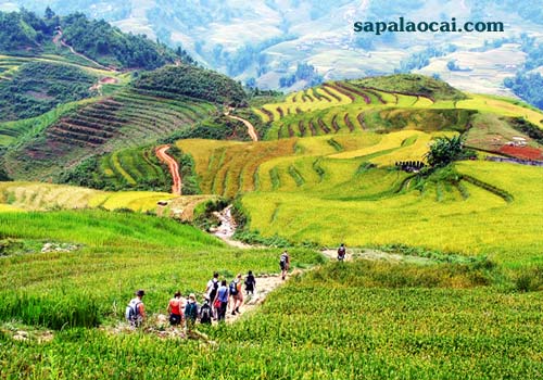 Hàm Rồng - Lao Chải - Tả Van (hoặc Tả Phìn) - Hà Khẩu