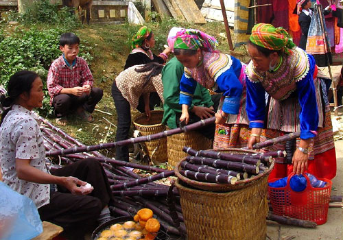 Lào Cai - Cán Cấu - Bắc Hà - Sa Pa - Lao Chải - Tả Van - Cốc Ly - Lào Cai