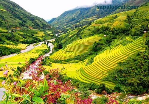 Sapa Discovery 5 days / 4 nights