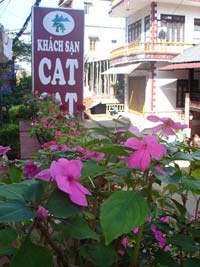 Cat Cat View Hotel