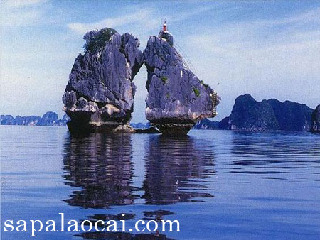 Ha noi - Ha long Package