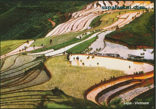 Sapa tour