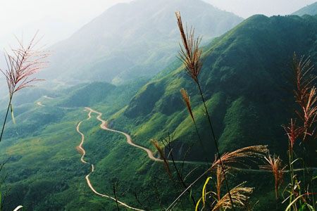 Tour Du Lịch Sapa